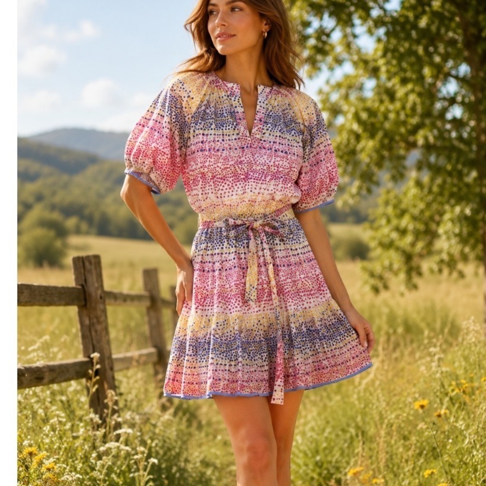 Willa Story DRESS Sz XS  short Sleeve multicolor  Grannycore prairie